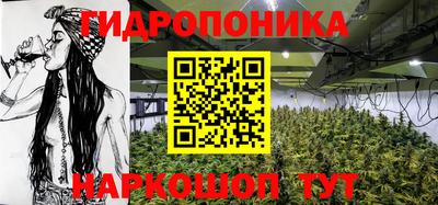 соль ск Сосновоборск