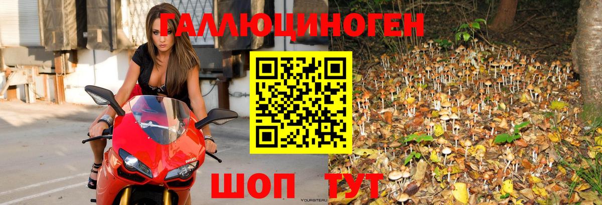 Псилоцибиновые грибы MAGIC MUSHROOMS Кировск