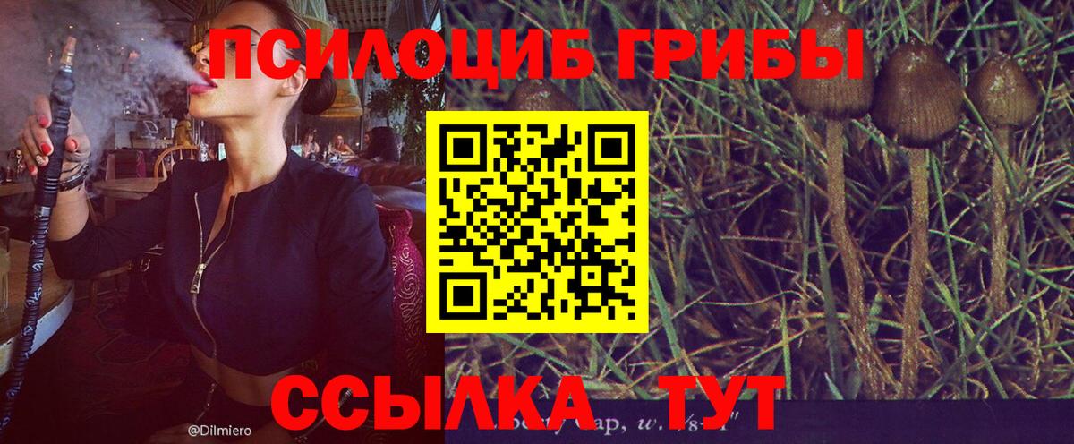 Кировск  Галлюциногенные грибы ЛСД  Вход с VPN 